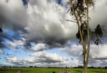 霍震霆点赞亚冬会筹备工作：哈尔滨或成世界冬季旅游中心央视新闻客户端.