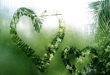 霍震霆点赞亚冬会筹备工作：哈尔滨或成世界冬季旅游中心央视新闻客户端.