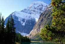 相约亚残运！轮椅篮球运动员摔倒全场高喊加油美丽浙江.